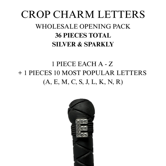 a3. Wholesale Crop Charm Silver Letter Pack