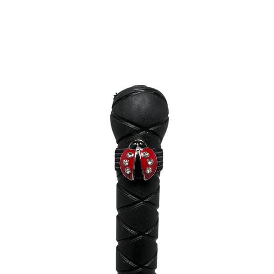 Lucky Ladybug Crop Charm