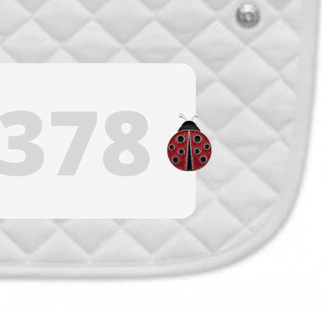 Ladybug Number Pin Charms