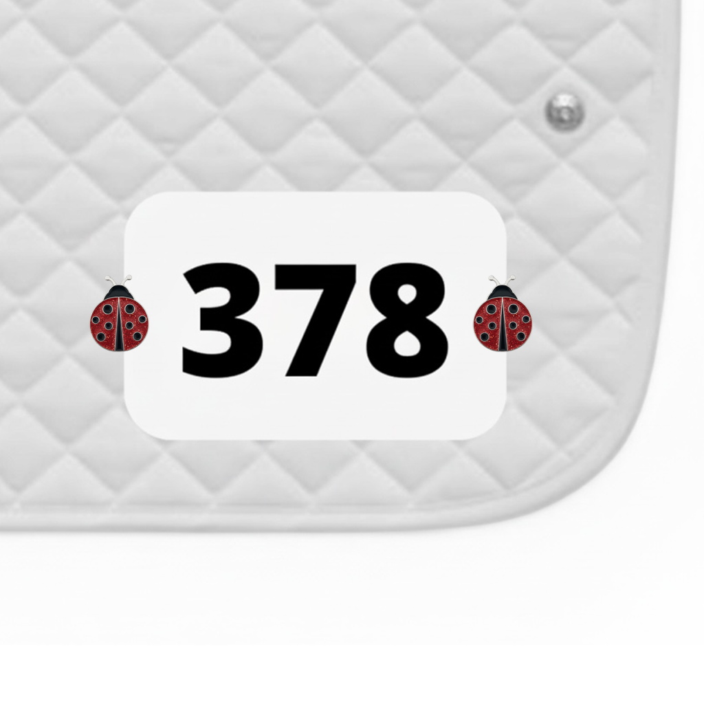 Ladybug Number Pin Charms