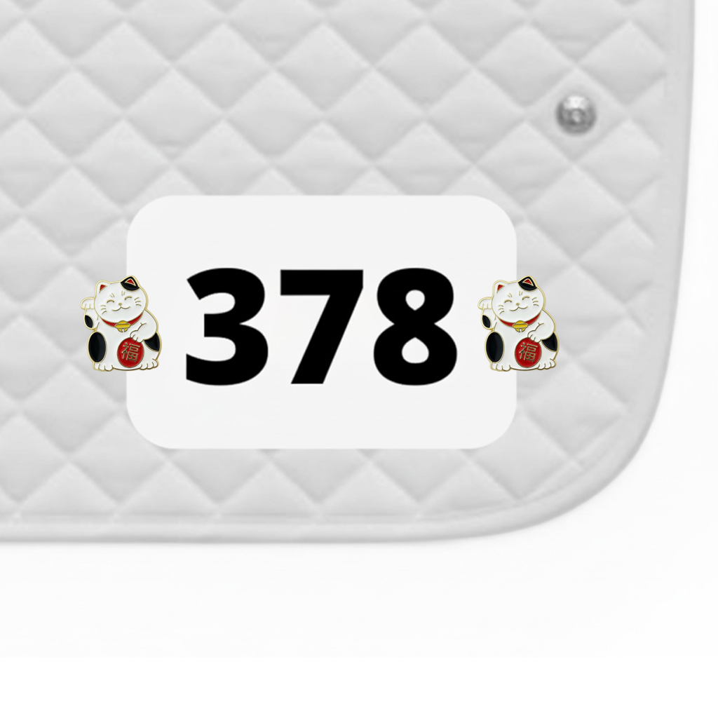 Lucky Cat Number Pin Charms