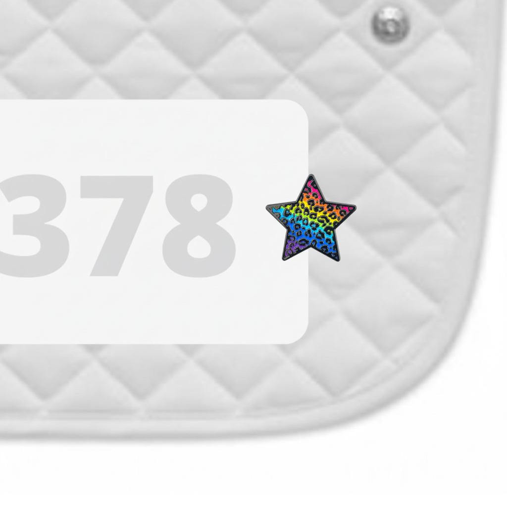 Rainbow Cheetah Number Pin Charms