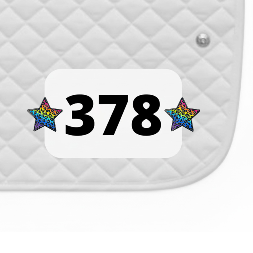 Rainbow Cheetah Number Pin Charms